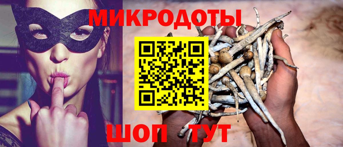 Псилоцибиновые грибы мицелий  где купить наркоту  Медногорск  Вход с VPN 