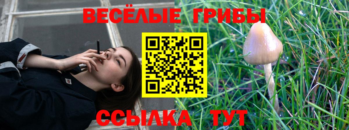 ГАШИШ Медногорск